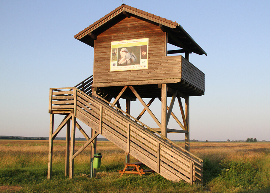 Aussichtsturm im Naturschutzgebiet Hanság in Andau