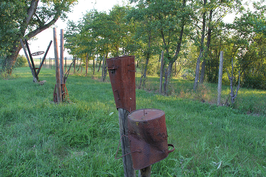 Skulpturen aus Eisen im Skulpturenpark an der Fluchtstraße in Andau