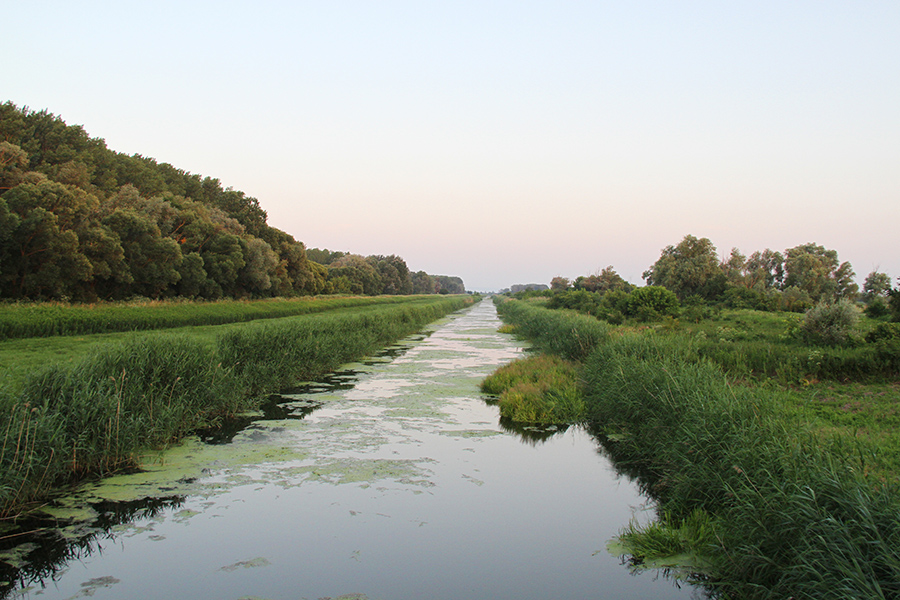 01_sonnenaufgang_einserkanal Der Einserkanal in Andau bei Sonnenaufgang