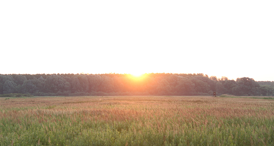 02_sonnenaufgang_hansag Sonnenaufgang im Hansag