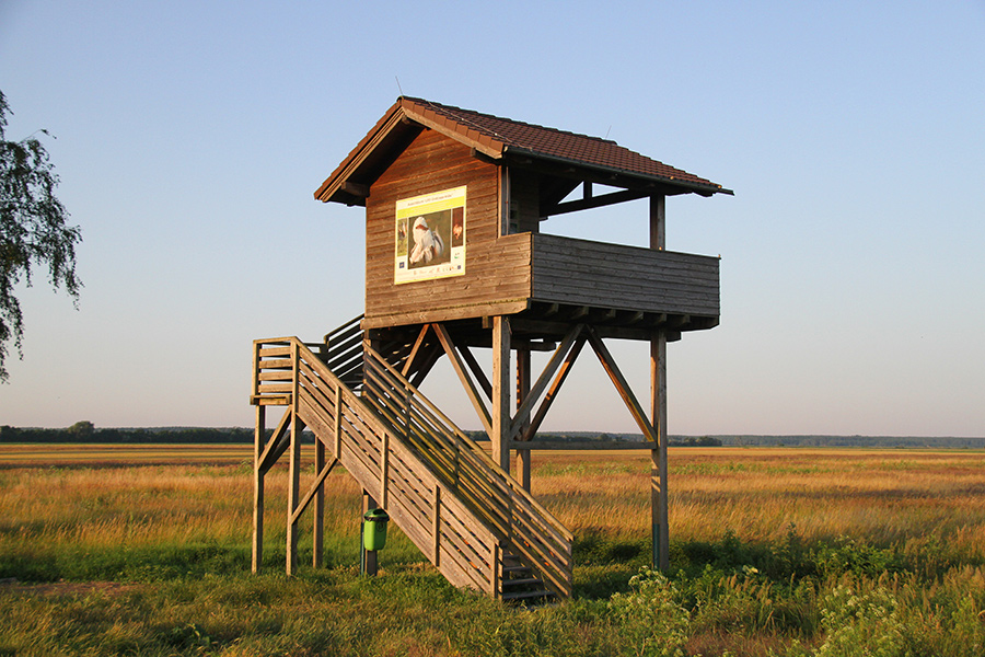 35_sonnenaufgang_fluchtstrasse_aussichtsturm Aussichtsturm im Hansag