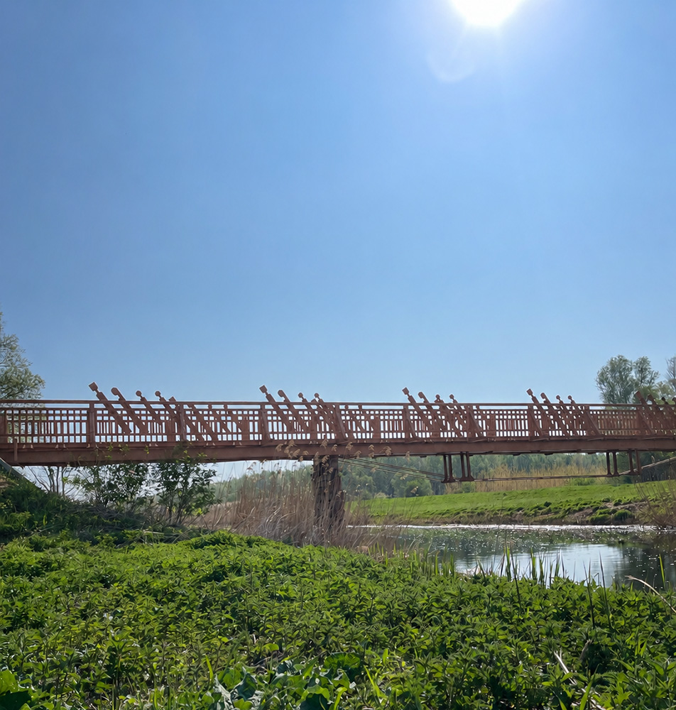 Die Brücke von Andau