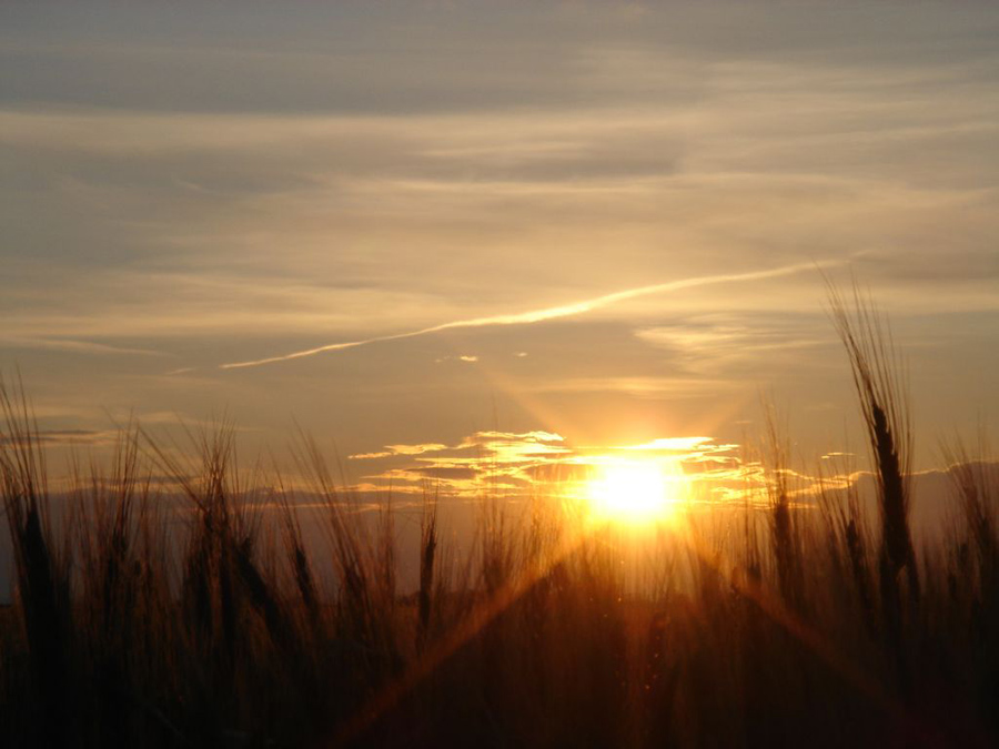 sonnenuntergang_hansag Sonnenuntergang über dem Hansag